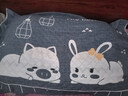 艾薇（AVIVI）纯棉枕巾一对儿童加大三层夹棉枕芯枕头巾  灯下萌宠蓝 50*80cm 实拍图
