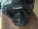 佳能（Canon）5D Mark IV 全画幅单反相机 单机身 专业级单反相机 高端单反 拍摄必备 实拍图