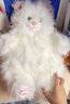 紫彤可爱炸毛墩墩鸭玩偶猫咪抱枕沙发客厅靠枕睡觉夹腿网红女生日礼物 炸毛白猫 70厘米 实拍图