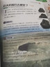 隋唐演义小学生青少版 美绘版 青少年读本 无障碍阅读 三四五六年级课外书 少年读经典系列 实拍图