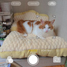 华元宠具（hoopet）猫窝保暖冬季大号超级大猫窝狗窝四季通用猫咪垫子睡觉用猫沙发床 免洗手套 实拍图