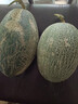 新疆哈密瓜 山东晓蜜瓜 海南晓蜜瓜25号 西州蜜17号 蜜瓜 5-6斤（1-2粒） 脆甜爽口多汁 实拍图