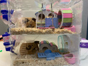 诺辰仓鼠笼子单双层亚克力笼金丝熊专用透明超大别墅用品玩具便宜套装 双层大号套餐二 实拍图