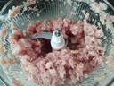 苏泊尔（SUPOR）绞肉机家用电动多功能 绞馅机 碎肉机料理搅拌打肉饺子肉馅蒜蓉机辅食机JR73-B200 实拍图