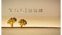 谢瑞麟（TSL）黄金耳钉女朱槿花简约气质足金耳饰生日YM352 约0.7g 工费200元 实拍图