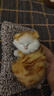 亦趣仿真猫玩偶会叫小猫咪毛绒玩具摆件可爱猫咪公仔儿童生日礼物 会叫橘花猫咪+毛绒垫子 实拍图