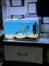 YEE鱼缸灯led灯水草灯防水水族箱节能防溅水支架灯水草灯专用观赏灯 四排【14瓦】灯长48cm（48-57cm鱼缸） 实拍图
