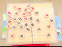 得力（deli）五合一儿童游戏棋套装象棋围棋五子棋跳棋启智早教礼物 YW218 实拍图