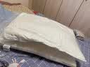 雅色 枕头枕芯 五星级酒店舒适纤维枕芯颈椎枕头可水洗成人家用高弹枕 三线格填充1200g【酒店高枕】 赠品枕套一对(勿拍) 实拍图