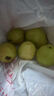 春福乐 凤梨释迦果【源头直发】云南新鲜番荔枝大目摩尼释迦热带水果 3斤精选果【单果150g+】净重2.5斤 实拍图