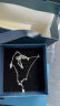 本词520情人节礼物银项链送女友生日浪漫惊喜实用高级感情侣首饰品 北极星项链+玫瑰礼盒 晒单实拍图