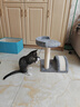 熊猫兔 爬架架 耐磨耐抓小型剑麻猫爬柱迷你猫爬架玩具 实拍图