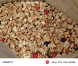 卡乐比（Calbee）即食燕麦片 原味水果麦片600g 日本进口非油炸 营养代餐早餐零食 实拍图