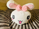 伊美娃娃兔子抱枕玩偶陪睡毛绒玩具布娃娃侧睡大号夹腿长条抱枕睡觉女生 开心每一天90cm 送女孩女友道歉礼物送女生男生 实拍图