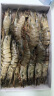 京鲜生活冻黑虎虾 海鲜礼盒 大虾虎虾斑节虾 800g 14-16个头 长18cm 晒单实拍图