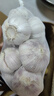 山东金乡蒜大蒜出口标准精选大蒜头蔬菜调料单果5cm 出口标准网兜装箱 925g 5-5.5cm特大 实拍图