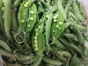 京鲜生云南新鲜甜豆 带壳食用 清香甜脆 加冰保鲜发货净重2斤源头直发 实拍图