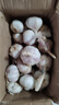 农多鲜河南干蒜新鲜正宗紫皮大蒜 多瓣蒜当季新鲜农产品蔬菜 净重3斤中果 实拍图