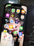 Apple iPhone12Pro苹果12 Promax国行双卡5G全网通苹果12pro 二手手机 【12promax】海蓝色-活动推荐 512G【更换品牌电池100% 95新优选靓机】 实拍图