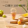 十月结晶果蔬咬咬乐婴儿牙胶安抚宝宝口欲期牙胶磨牙奶嘴 【栗子棕L+S替换网】 1个装 实拍图