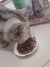 优趣猫粮全价粮通用成猫幼猫粮成年猫高蛋白营养天然英短蓝猫 醇香牛肉味1.5kg*1包（实发3斤） 实拍图