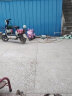 实威儿童6V电动玩具车电瓶童车挖土机摩托汽车蓄电池充电器 实威大容量6V5AH电瓶 实拍图
