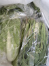 【24小时菜】大芹菜约400g 实拍图
