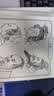 【时光学】国画白描控笔训练临摹画册 新手入门国画名画随意发挥轻松上手控笔山水人物动物植物五大主题国画书法初学者入门套装难易适中简单有趣 【国画白描控笔全套5本 +秀丽笔全套3支】 实拍图