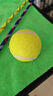 狗狗玩具球边牧柯基金毛逗狗遛狗训犬专用耐咬磨牙小狗宠物狗网球 宠物狗网球-黄色-2个 实拍图