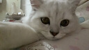 欢宠网猫咪牵引绳猫绳胸背带遛猫绳溜猫绳子背心宠物防挣脱逃脱背带链子 实拍图