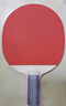 红双喜两拍一球I型套拍家庭娱乐健身乒乓球拍 实拍图