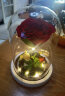 依雯然（Ivenran）生日礼物女永生花母亲节520情人节礼物送女友小王子玫瑰花玻璃罩 实拍图