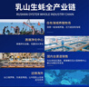 贝司令 鲜活乳山生态生蚝7XL 净重9斤 9-12只 生鲜源头直发 中秋聚餐  实拍图