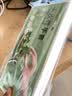 芳草地一次性手套300只 盒装抽取式食品用pe手套 美发户外烧烤烘焙加工 实拍图