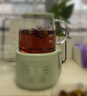 小熊（Bear）迷你养生壶养生杯 电炖杯电热杯恒温花茶壶烧水壶办公室杯子0.4L全玻璃杯体YSH-F04E1 实拍图