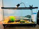 爬将军 乌龟缸特大号 玻璃造景晒台草龟大型养龟箱盆别墅家用生态龟缸 50*27*25（底部排水） 实拍图