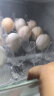 圣迪乐村 OMEGA 3孕妈儿童DHA鲜鸡蛋20枚礼盒装 净含量1kg 实拍图