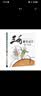 三毛解放记（彩图注音读物）小学生漫画张乐平暑假作业 一升二暑假衔接 小升初暑假衔接  寒假暑假推荐必读书  实拍图