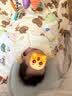 贝肽斯婴儿马甲秋冬款夹棉儿童保暖背心纯棉新生儿保暖外穿春装S 黄色 66 cm 实拍图