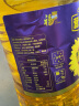 福临门 营养家 黄金小黑葵葵花仁油 食用油  物理压榨 24年3-7月产 随机发 小黑葵葵花仁油5L 实拍图
