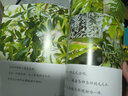 生命的故事 藏起来了（2册）2-3-6岁高清实拍动物自然昆虫百科全书 幼儿园趣味互动书 儿童动物世界游戏书  实拍图