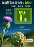 Swisse斯维诗 奶蓟草护肝片 含奶蓟草姜黄洋蓟 熬夜应酬常备120片/瓶 实拍图