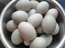 豫宛农夫农家散养生鸭蛋 鲜土鸭蛋  新鲜发货 30枚装 单枚60-70g 实拍图
