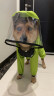 SLPC狗狗雨衣全包四脚柴犬中型犬防水雨披泰迪博美雪纳瑞小狗雨衣 苹果绿 3XL（适合约25到35斤） 晒单实拍图