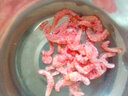 江海寄渔生 大号南极磷虾米虾皮 淡干去头皮加热即食虾米海米新鲜海产干货 甄选品质虾米3厘米左右500g 实拍图