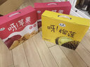 君恬果园苹果脆片非油炸健康零食烟台特产孕妇宝宝健康无添加礼品 8g*20袋 试吃礼盒 实拍图