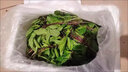 九层塔食用新鲜台湾金不换非罗勒叶香料菜三杯鸡冬阴功食材鱼香草 500g 晒单实拍图