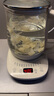 小熊（Bear）养生壶 煮茶壶 恒温水壶 保温烧水一体智能电热水壶花茶壶烧水壶 11档保温 1.5L大容量 YSH-J15Z7 实拍图