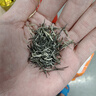 乐品乐茶特级毛尖绿茶2025新茶明前特级春茶自己喝茶叶礼盒250g送礼品袋 实拍图
