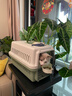 腆宠  宠物航空箱大号 猫咪航空箱猫狗 猫包猫笼外出车载猫箱狗狗托运 实拍图